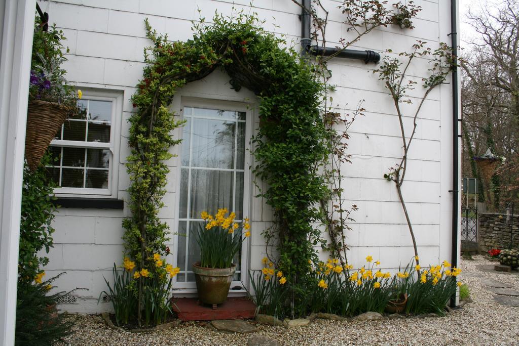 Clayhill House Bed & Breakfast Lyndhurst Exterior photo